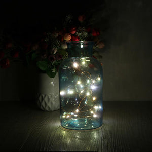 2M 20 LED Flexible Copper